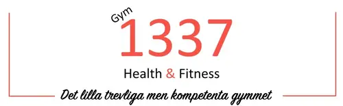 Gym 1337 Health &amp; Fitness AB - Tumbovägen 4 KvicksundGym 1337 grundades i slutet av 2010 genom förvärv av Mälarhälsans gym i Kungsör och etablering av ett gym på Tumbovägen 4 i Kvicksund. Vi förvärvade Nora Kraft &amp; Kondition den 1:a december 2016 och World Class Eskilstuna den 1:a november 2017.Affärsidén är att tillhandahålla bästa möjliga träningsutrustningar på respektive ort, i attraktiva och ändamålsenliga lokaler.Gymmen ska kännas attraktiva för alla åldrar och träningsnivåer och andas modernt och fräscht.Vi ska hålla träningsutrustningarna i perfekt skick och skyndsamt åtgärda uppkomna fel och brister.Vår målsättning är att stötta såväl nybörjare som mer erfarna genom god och anpassad vägledning.Gymmen är så kallade nyckelgym. Där medlemmarna har tillträde till lokalerna med en behörighetstagg eller kort under större delen av dygnet.Högeffektiva solarier kompletterar träningsutrustningarna.Korosh är utbildad personlig tränare och hälsocoachHan har tävlat i både bodybuilding och bänkpress. - Siktet är nu inställt på att tävla i styrkelyft.Kontakta Anette på 0730 - 47 43 12 eller via Anette@gym1337.se